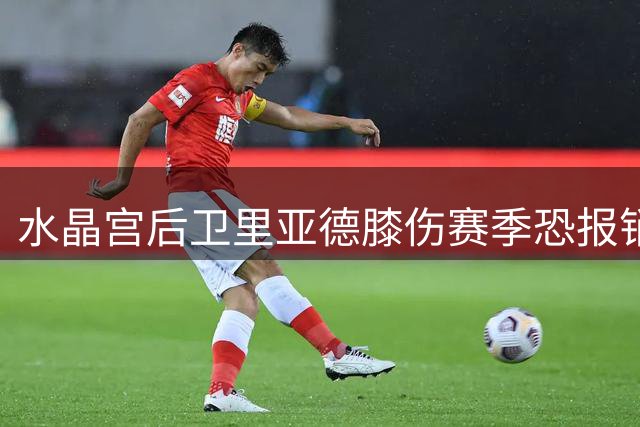水晶宫后卫里亚德膝伤赛季恐报销 俱乐部引援策略不受影响